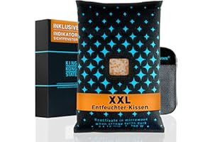 KING KONG STATE Coussin déshumidificateur 1,2 kg avec rembourrage en gel de silice pour voiture (1 x 1,2 kg)