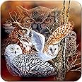 3D LiveLife Cork Coaster - Owl Woods from Deluxebase. Lenticular 3D Cork Wildlife Coaster. Non-slip drinks mat with original artwork licensed from renowned artist, Steven Michael Gardner
