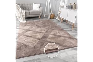 Paco Home Tapis Salon Fausses Fourrures Doux Lavable Moderne Élégant Facile À Entretenir Effet Fourrure Uni Brillant Douillet À Poils Courts, Dimension:160x220 cm, Couleur:Taupe