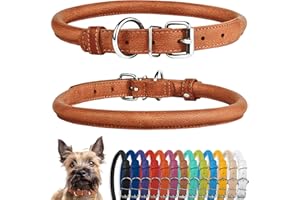 CollarDirect Rundes Leder Hundehalsband, weich gepolstert gerollt, handgefertigtes Echtleder Halsband für Hund Welpe Katze Klein Groß Schwarz Rosa Rot Lila Blau