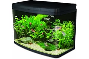 Interpet Insight Glass Aquarium Fish Tank Starter Kit, with LED Lights, Easy Care Filter, Heater, Aquacare Reminder System, Water Condiditioner, 64 L