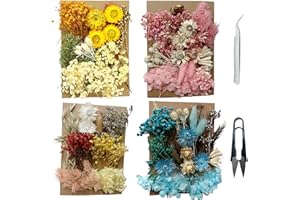 Cayway Naturales Flores Prensadas Secas, Hojas Prensadas Secas Naturales con Pinzas Tijeras, Flores Secas Reales para Resina para Resina Scrapbooking, Joyería de Resina Epoxi