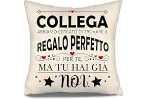 Aosumin Collega abbiamo cercato di trovare il regalo perfetto per te ma tu hai già noi Divertenti copricuscini per colleghi Miglior regalo di compleanno per colleghi Regalo di Natale(collega-b)