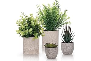 Winter Shore Planta Artificial Verde Pequeña (Pack de 4) - Plantas Artificiales Decorativas con Estilo Campesino - Maceta Interior para Baño y Escritorio de Oficina - Eucalipto y Plantas Suculentas