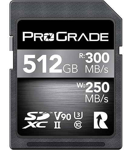 ProGrade Digital 650GB CFexpress Type B Memory Card (Cobalt