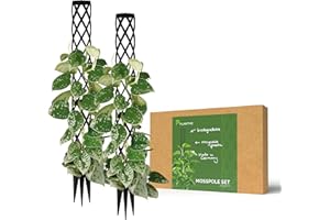 PlantMe Rankhilfe Mini, kleine Rankhilfen für Kletterpflanzen, Monstera, Moosstab, Pflanzstab, Pflanzenstütze, small Moss Pole, Kletterhilfe Zimmerpflanzen (2X 40cm Without Filling, Schwarz)