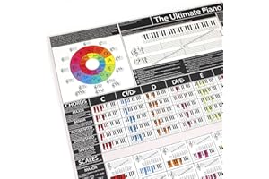 BIRDS PIANO ACADEMY The Ultimate Piano Poster (Grey) - Piano Chords, Scales & Music Theory Chart | Learn Piano & Keyboard | Piano Practice Aid (A1 Folded)