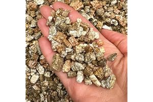 BHOMESCENT Premium Vermiculite for planting plants Coarse Grade (1L)