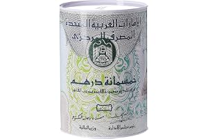 ECVV Coin Box, Money bank for saving coins and cash 15 x 22 cm,