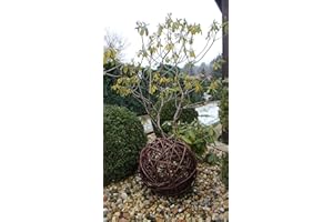 MARCUS WEIDENHANDEL Boule en osier en 6 tailles - Boule décorative en osier - Boule de jardin fabriquée à la main dans l'UE (35 cm)