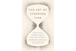 The Art of Stopping Time