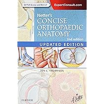Amazon.fr - Surgical Exposures in Orthopaedics: The Anatomic