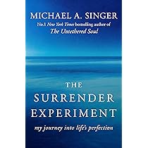 洋書 The Artist of My Experiment 洋書 The Artist of My Experiment