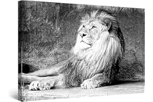 Startonight Impression sur Toile Lumineux Roi Lion, Art Encadré Imprimée Tableau Motif Moderne Décoration Tendu sur Chassis Prêt à Accrocher Grande 80 x 120 cm Idée Cadeau Élégante et Originale