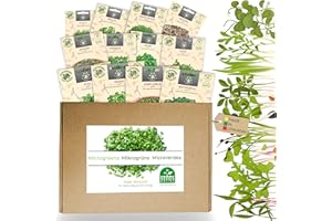 NOJAUS SĖKLOS 12 varietà di semi microverdi - Microverdi freschi e ricchi di nutrienti per la tua cucina - Germogli autoestratti