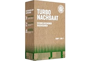 GardenGloss Semillas de césped de germinación rápida para verano, 1 kg, fabricadas en Alemania, superficie de 50 m2, semilla de césped, semilla turbo y nueva plantación