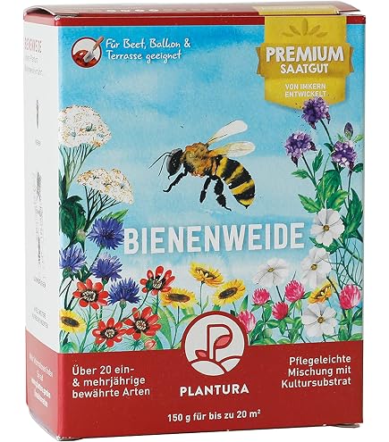 Sidapflanze, Virginiamalve: bot. Sida heramphrodita, Bienenweide &  Energie-Pflanze, Bienen-Futter-Pflanze, langblhend (50, 1,5 Liter) :  Amazon.de: Garten