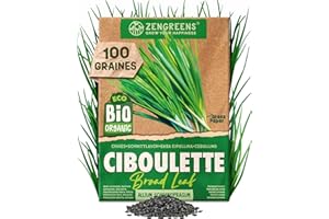 ZenGreens® – Graines de ciboulette bio - Graines d'herbes aromatiques à cultiver facilement au jardin, sur le balcon ou en cuisine – parfaites pour débutants - Civette