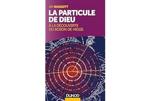 La particule de Dieu : A la découverte du Boson de Higgs: A la découverte du Boson de Higgs
