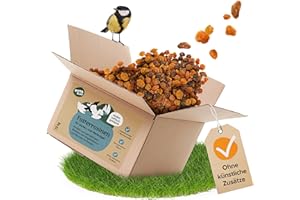 VYTAfield® Futterrosinen für Vögel | Ungeschwefelt in Speisequalität | Energiereiche Rosinen für Wildvögel | 10kg Rosinen für Amseln & Früchtefresser | Ganzjahres Vogelfutter | Ohne künstliche Zusätze