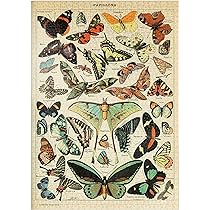 MyPuzzle Iguazú Watervallen: Argentinië & Brazilië, Vintage Poster - Premium 1000 Stukjes Puzzel - MyPuzzle speciale collectie van Anderson Design Group