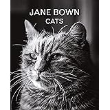 Jane Bown: Cats