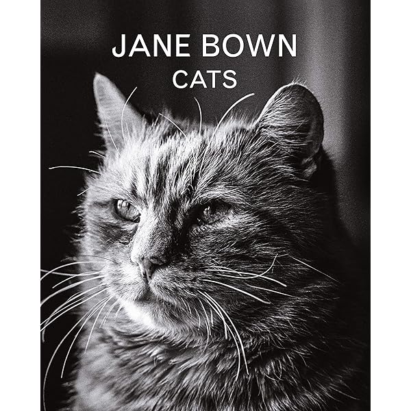 洋書 JANE BOWN A Lifetime of Looking BOOK / JANE BOWN: A LIFETIME OF LOOKING / JANE BOWN © Jane Bown at