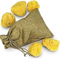 YBEATY Strukturschwämme 2er Set - Knockdown Schwämme Für Trockenbau Reparatur