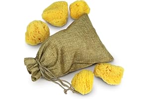 ‎TOM&PAT tom&pat Malschwamm Naturschwamm, kleine & große Künstler, Acrylmalerei & Aquarell Zubehör, Dermatest: Sehr gut, Künstlerschwamm, Acrylschwamm, Töpferschwamm aus Griechenland (5 x 3-7 cm)