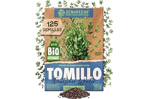 ZenGreens® - Semillas de tomillo ecológicas - Semillas de hierbas para cultivar fácilmente en el jardín, balcón o cocina - ideal para principiantes