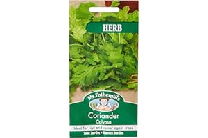 MR FOTHERGILLS Mr Fothergill?s Seeds Ltd 16213 Herb Seeds, Coriander Calypso