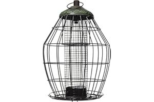 Peckish Secret Garden Mangiatoia per uccelli 17 x 17 x 20 cm Mangiatoia per arachidi antiscoiattolo, 16 x 19 x 28 cm, verde