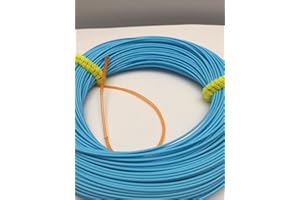 BestCity Fly Fishing Line INTERMEDIATE WEIGHT FORWARD SKY BLUE line 100 feet with braided loops WF6