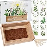 Kräuter Samen Anzuchtset: Mini Kräutergarten Geschenk Set – 6 Sorten Kräuter Saatgut, Anzuchtkiste, Kokos Anzuchterde – Kräut