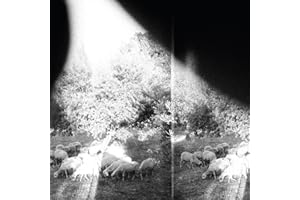 Asunder, Sweet and Other Distress