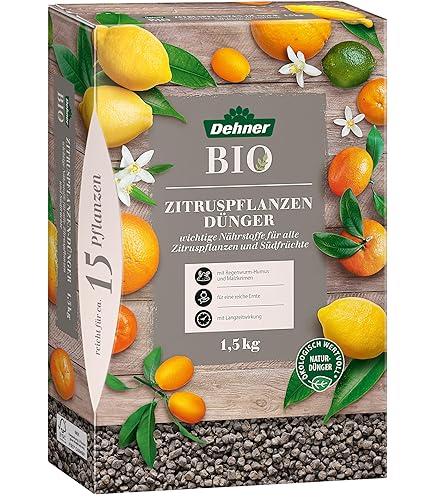 RAINBEAM Oscar Tintori Chicchi di Sole 2 kg Zitrusdnger Langzeitdnger  speziell fr Zitruspflanzen Granulat Mineralischer Dnger : Amazon.de:  Garten
