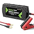 RoyPow LiFePO4 Battery Charger 14.4V 10A Automatic Trickle Battery Charger Maintainer for 12V LiFePO4 Lithium Battery with Alligator Clamp and Ring Terminal