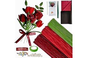 YYUENG TAK 200pcs Red Pipe Cleaners for Craft Flowers,Pipe Cleaners for Rose Bouquet, Chenille Stems Arts & Crafts with Tutorial,Fuzzy Sticks Craft Supplies for Flower DIY Craft Kit Gift