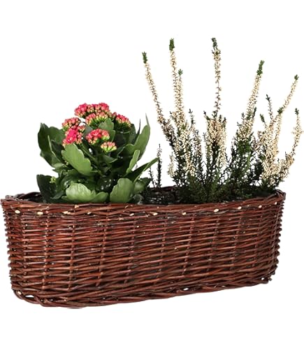 Drypot in Rattan - ø 34 x 30 cm - Fioriera sostenibile con interno in plastica riciclata impermeabile - Vasi da fiori per interni - Grigio
