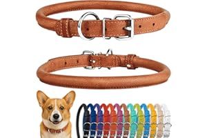CollarDirect Rundes Leder Hundehalsband, weich gepolstert gerollt, handgefertigtes Echtleder Halsband für Hund Welpe Katze Klein Groß Schwarz Rosa Rot Lila Blau