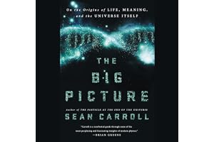 The Big Picture: On the Origins of Life, Meaning, and the Universe Itself