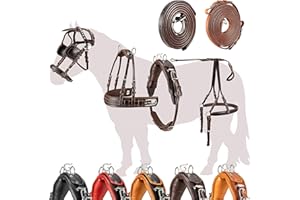 ‎ESPOSITA Esposita Einspännergeschirr „ Professional “ Kutschgeschirr für Shetty, Pony und Pferd Geschirr für Minishetty bis XL Kaltblut Fahrgeschirr für Einspänner