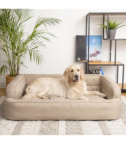 Divanetto Cuccia Cani Doggy Lettino Per Cani E Gatti, Divano Per