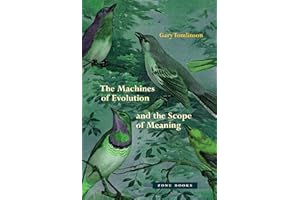 The Machines of Evolution and the Scope of Meaning