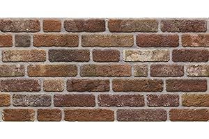 [Grace Baltic] – Panneaux muraux 3D effet bois – Revêtement aspect bois – Revêtement en polystyrène pour salon, cuisine, salle de bain, balcon, chambre, dos de comptoir et Teras (689-004)