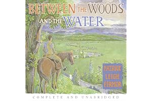 Between the Woods and the Water: On Foot to Constantinople from the Hook of Holland: The Middle Danube to the Iron Gates