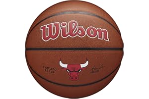 Wilson Basketball, Team Alliance Model