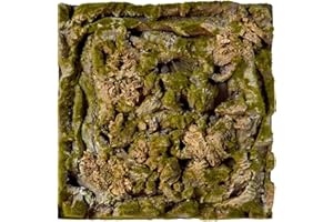 REPITERRA Terrario posteriore 3D, decorazione effetto naturale, 58 x 58 cm, per terrari (effetto pietra)