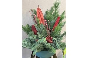 Seyila Home Grabgesteck frisch gebunden (echt) 60 cm im Steckschaum mit Wasser aufgesaugt, frische Nobillis Tanne, Thuja, Kiefer mit schönen trockenen Exoten, Grabauflage, Totensonntag (Rot stehend)