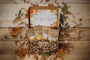 HEALTHY FAMILY Get Well Soon Care Package for Her - Hamper Gift Set for Women. Relaxation Pamper Hampers For Women to Enjoy. Thoughtful Letterbox Gift for Her…